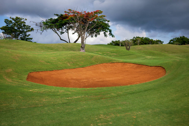 Terrain de golf au Kenya
 - Photo, image