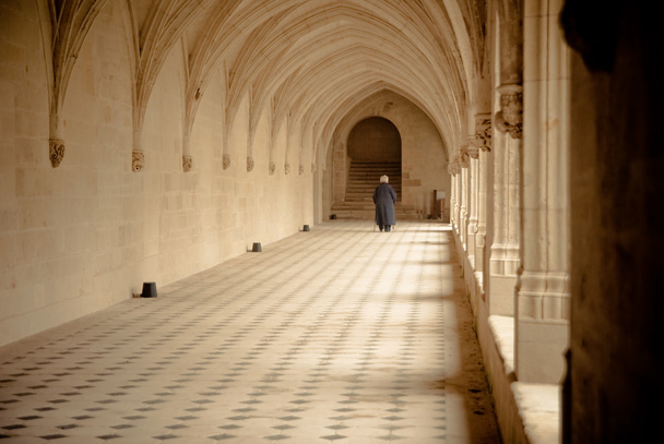 Abadía de Fontevraud
 - Foto, imagen