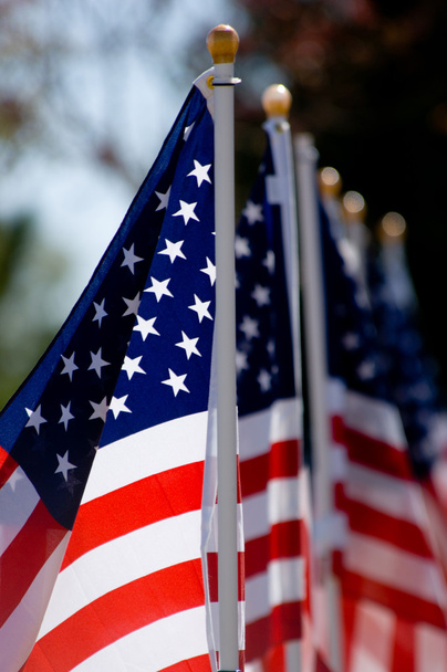 American Flag Display for Holiday - Φωτογραφία, εικόνα