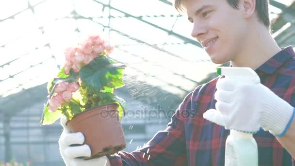schöner Gärtner, der Blumentopf im Gartenhaus besprüht. langsam - Filmmaterial, Video