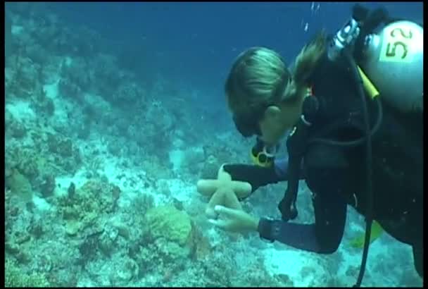 Vídeo de mergulho subaquático
 - Filmagem, Vídeo