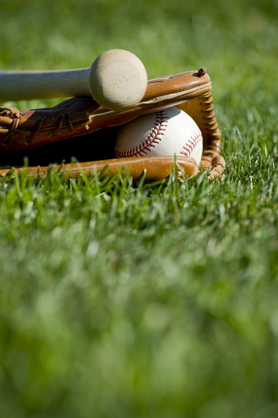 Baseball Glove, Bat and Ball - Zdjęcie, obraz