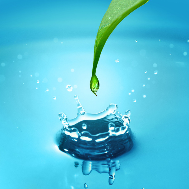 Green leaf with water drop - Fotoğraf, Görsel