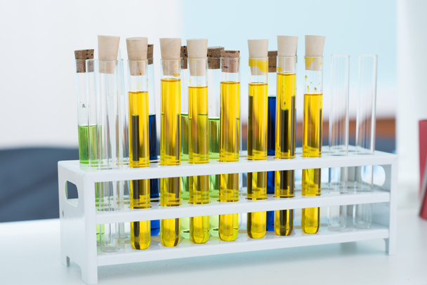 Test tubes with samples - 写真・画像