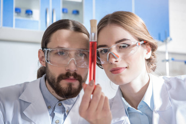 Scientists with chemical sample - Фото, зображення