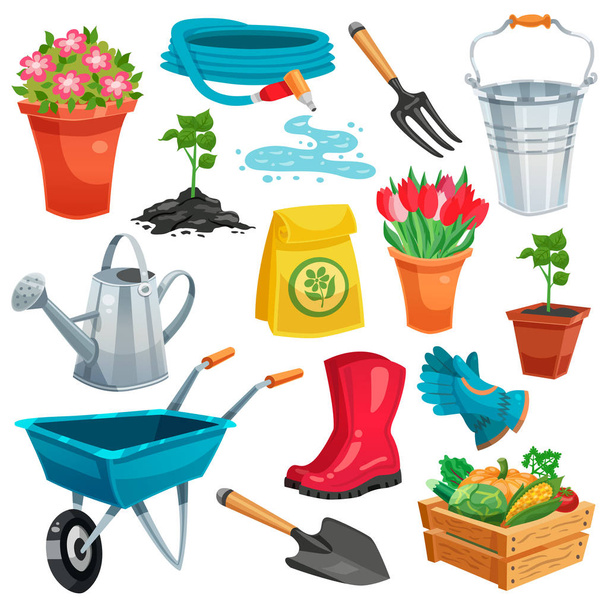 Garden Set With Sprout And Inventory - Vector, Image