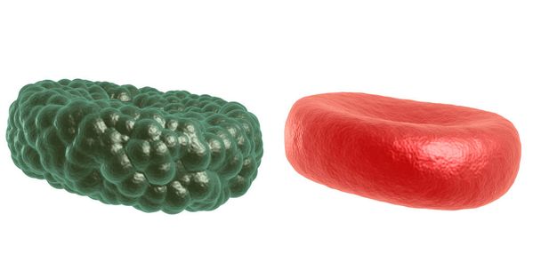 Green illness and red blood cell - Photo, Image