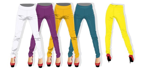 Woman leggings collection isolated.  - Photo, Image