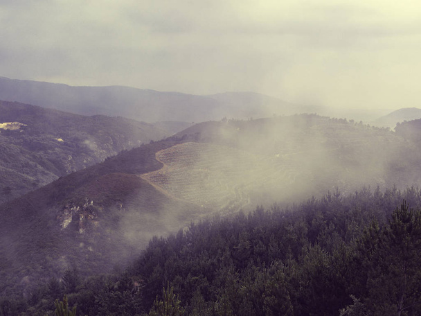 Nature Northern Portugal fields and mountains in fog. Atmospheric  - 写真・画像