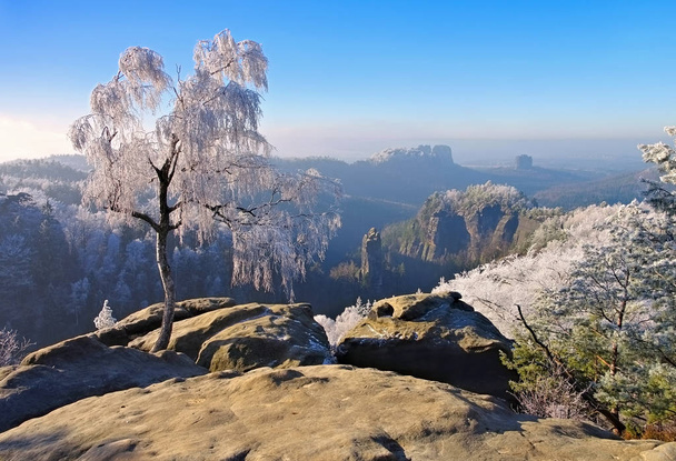 Góry Połabskie zimą, Carolarock - Zdjęcie, obraz