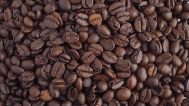 κόκκους καφέ στην περιστρεφόμενη σταθεί closeup - Πλάνα, βίντεο