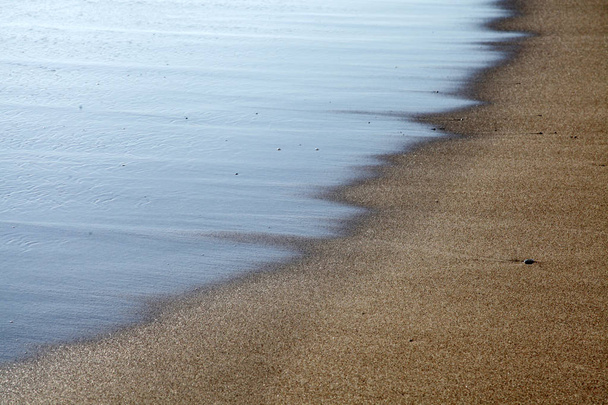 pufók a tengerparton fotó ingyenes