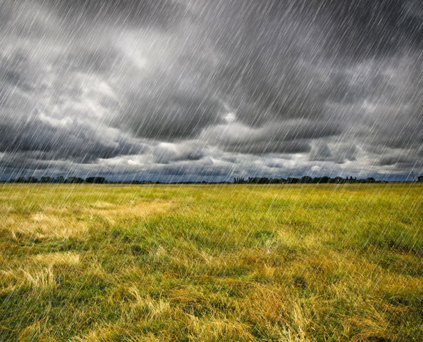 Chuva pesada sobre uma pradaria na Bretanha, França
 - Foto, Imagem