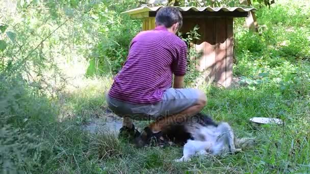 Junger Mann streichelt Hund an Kette - Filmmaterial, Video