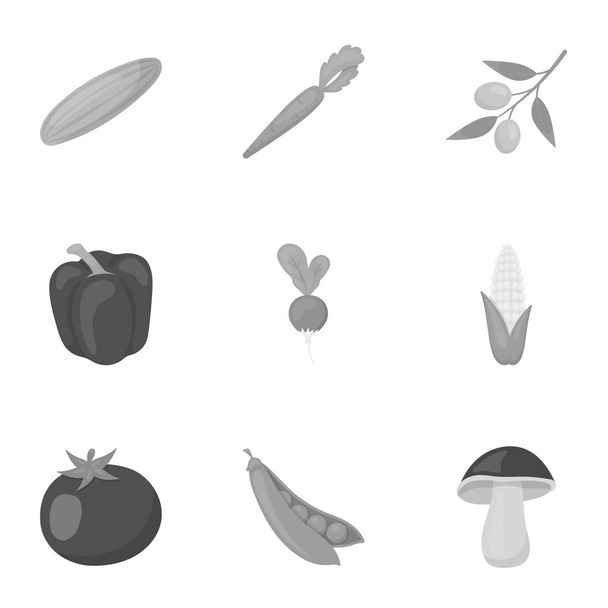 Vegetables set icons in monochrome style. Big collection of vegetables vector symbol stock illustration - Vettoriali, immagini