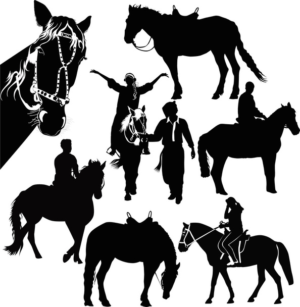 Desporto equestre
 - Vetor, Imagem