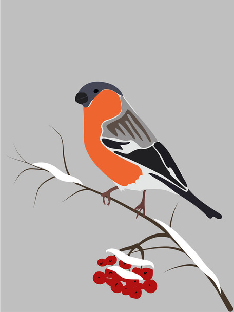 Vektorvogel-Illustration - Vektor, Bild