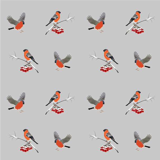 Ilustración de aves vectoriales
 - Vector, imagen