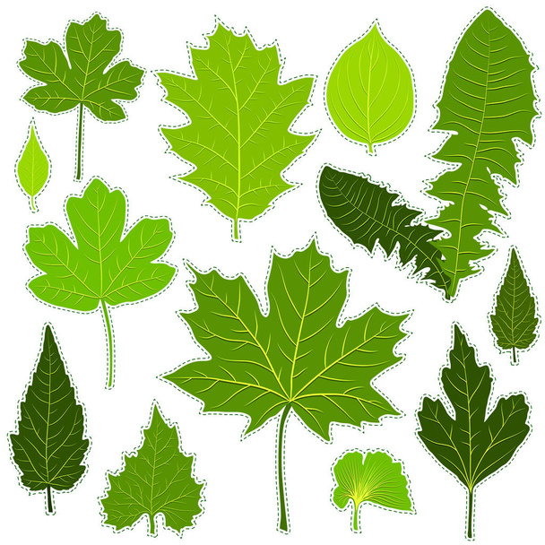 Green leaves stickers on white background vector - Vetor, Imagem