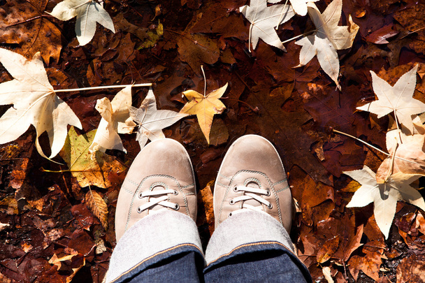 kožené boty a žluté listy - Fotografie, Obrázek