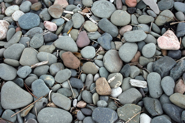 Praia de seixos com galhos
 - Foto, Imagem