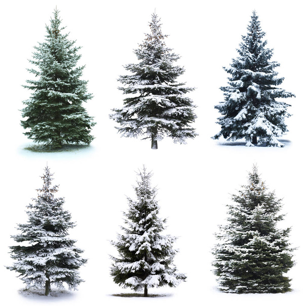Christmas Tree collage - Photo, Image