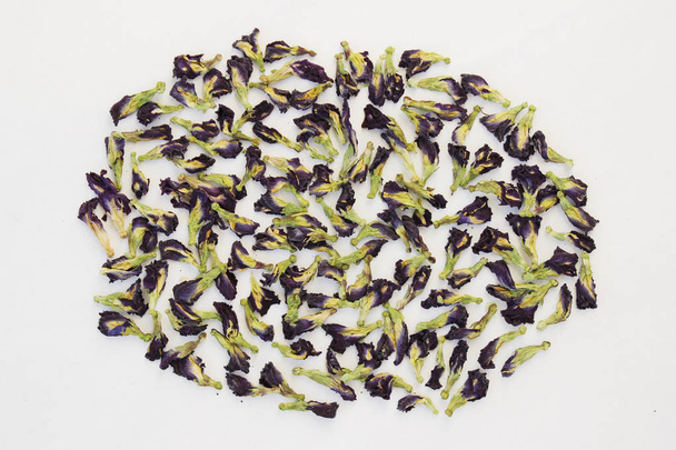 乾燥した芽の植物｜紅茶を作るためのクリトリアteratea - 写真・画像