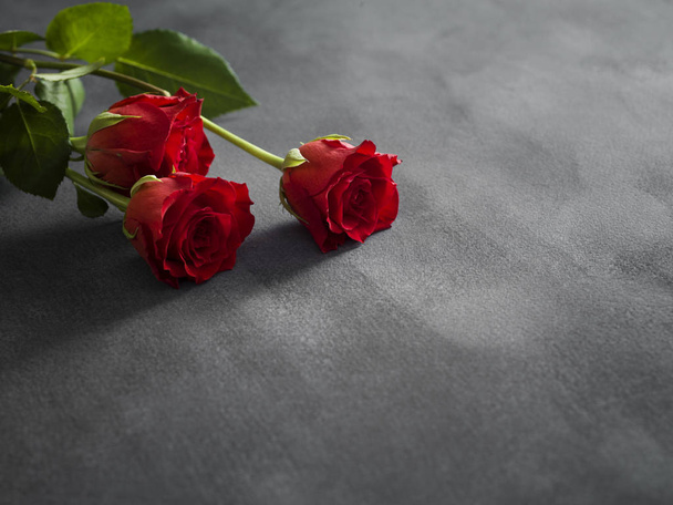 Composition of roses on a grey background - Foto, immagini