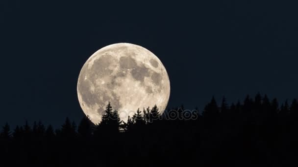 Volle maan stijgt boven bos time-lapse. Close-up detail van fullmoon. Twee in één reeks - Video