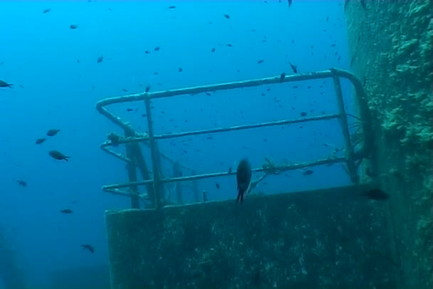 Malta podmořské lodi vrak potápění - Záběry, video