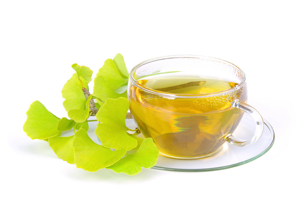 herbata miłorząb – herbata ginkgo 10 - Zdjęcie, obraz