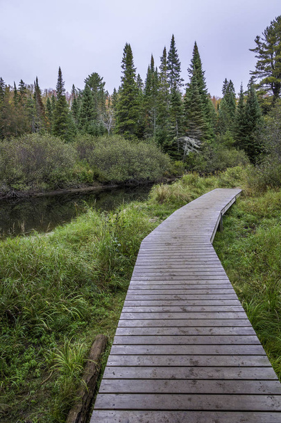 Passeggiata in legno vicino a un fiume - Parco provinciale di Algonquin
 - Foto, immagini