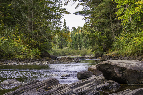 Ποταμός που διασχίζει ένα δάσος στο νωρίς πτώση - Φωτογραφία, εικόνα