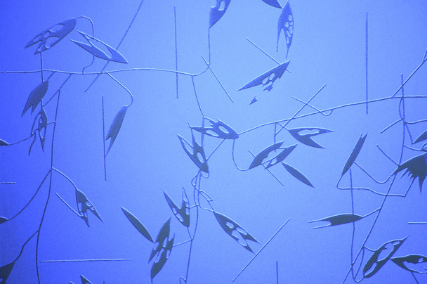 Blue matte glass - Foto, Imagen