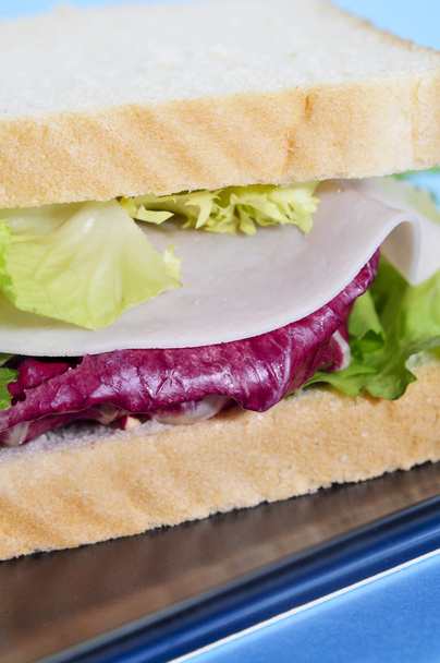 Vegetables and turkey sandwich - Foto, Imagem