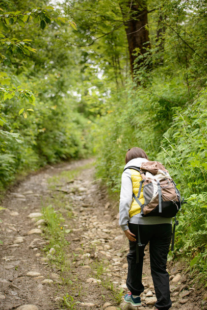 woman hiker hiking on trail - Foto, afbeelding