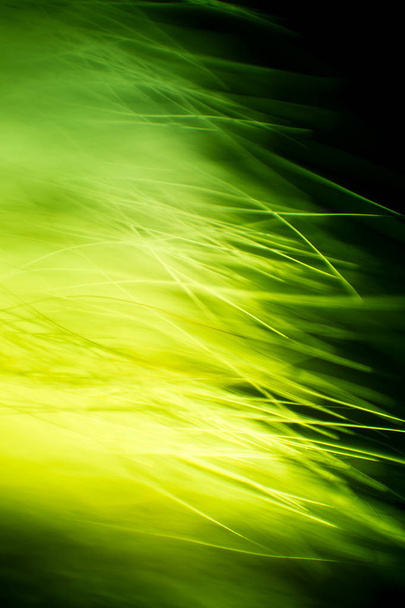 Абстрактный макрос меха в зеленых тонах. Небольшая глубина резкости, художественные цвета, декоративный вид
. - Фото, изображение