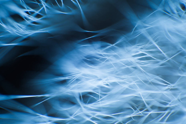 Abstract macro of fur in blue tones. Shallow depth of field, artistic colors, decorative look. - 写真・画像