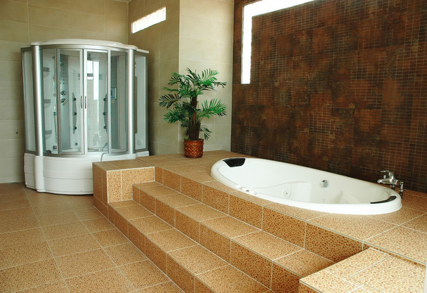 Nouveau concept design intérieur moderne de salle de bain de luxe
 - Photo, image