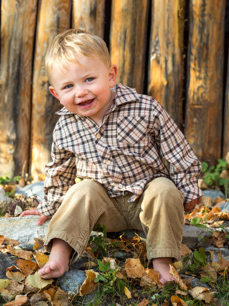 Happy boy in autumn leaves - Foto, Imagen