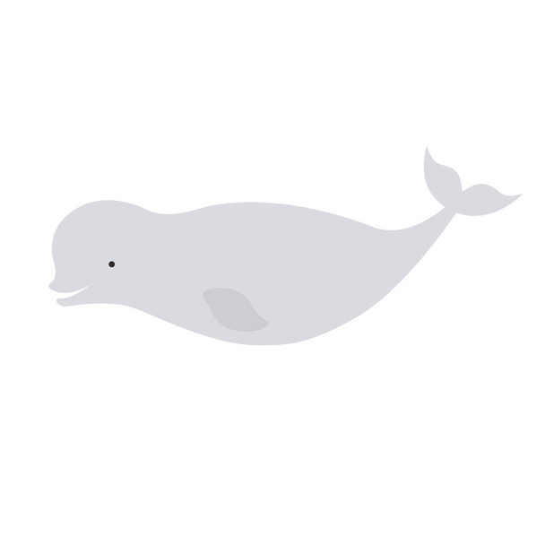 Vector hermoso beluga delfín polar ballena blanca
 - Vector, Imagen