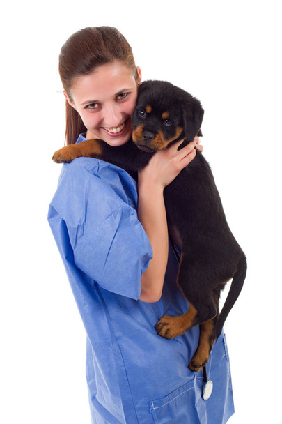 Brunetka weterynaryjnych z psa rottweiler szczenię, na białym tle  - Zdjęcie, obraz