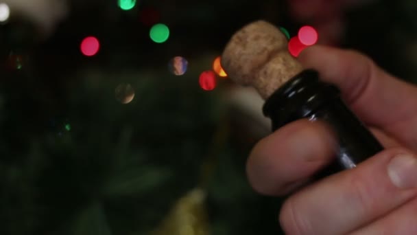 Man champagnefles openen tijdens de kerstperiode - Video