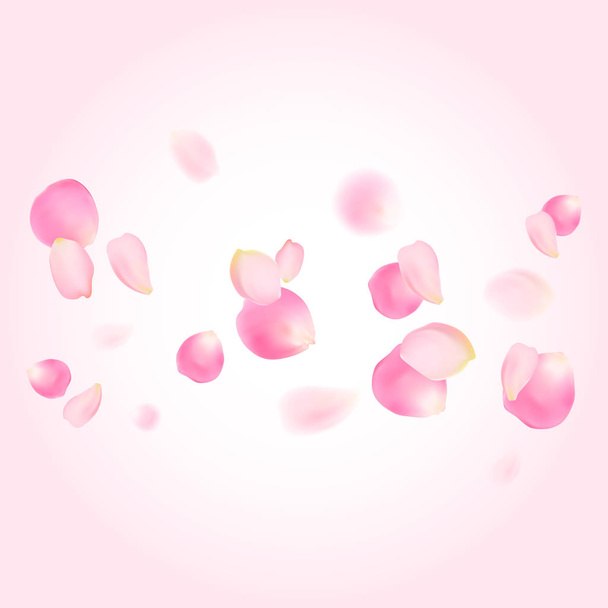 Pink rose petals - Vector, Image