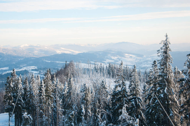 forêt d'hiver et sommets montagneux
 - Photo, image