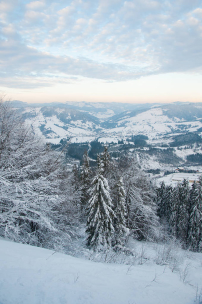 winter forest en berg toppen - Foto, afbeelding