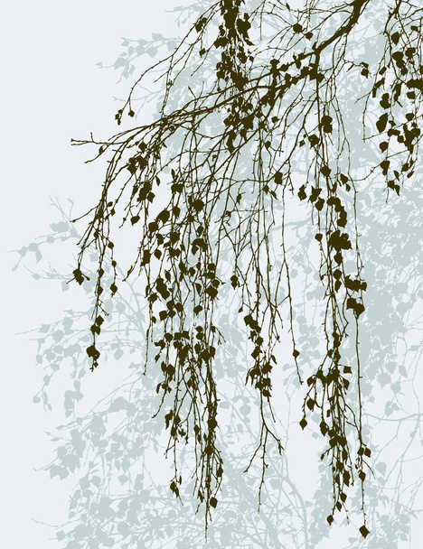 birch branches in the fall - Wektor, obraz