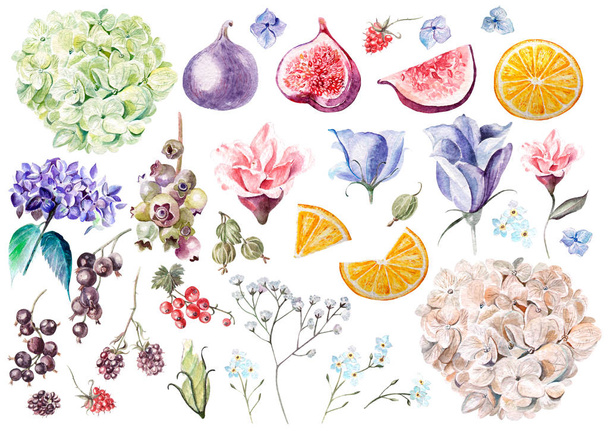 Watercolor set with flowers hydrangea, eustomiya, wild flowers, peony, rose.  - Photo, Image