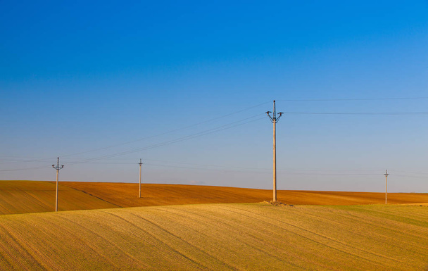 Wooden power poles  on the empty field after harvest - Foto, Imagen