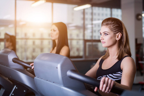 Sexy fit women running on treadmills in modern gym. Healthy young girls doing running exercise on treadmill in gym. - Photo, Image
